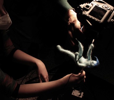 Corso di Animazione Stop Motion