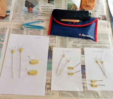 Corso di Animazione Stop Motion